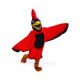 New Cardinal Mascot Costumes