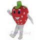 Red Strawberry Mascot Costume Fruit