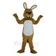 Cute Coyote Wolf Mascot Costume Animal