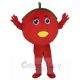 Cute Tomato Fruit Mascot Costume Fruit