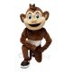 Football Sport Monkey Mascot Costume