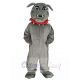 Gray Bulldog with Red Collar Mascot Costume Animal