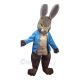 Peter Rabbit Mascot Costumes