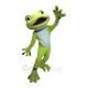 Cute Green Frog Mascot Costumes