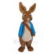 Lovely Peter Rabbit Mascot Costumes