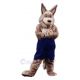 Funny Brown Coyote Wolf Mascot Costume