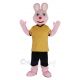 Pink Rabbit Mascot Costume Animal