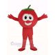 VeggieTales Character Tomato Bob Mascot Costume Fruit