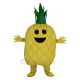 Lovely Pineapple Mascot Costume Fruit