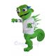 Chameleon Mascot Costumes Lizard