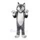 Gray Wolf Mascot Costumes