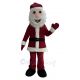 Cute St. Nicholas Man Mascot Costume People