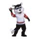 Sports Bearcat Mascot Costumes