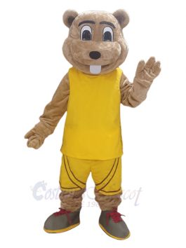 custom made mascot, school mascot costume, gopher mascot costume adult,