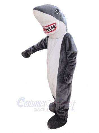 Cute Shark Mascot Costume Ocean