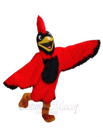 New Cardinal Mascot Costumes