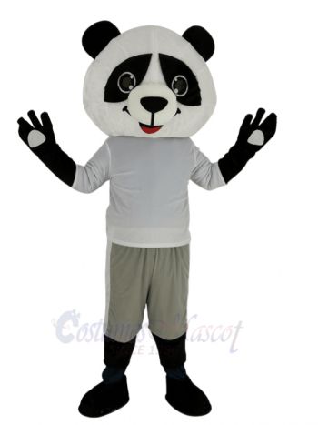 Cute Panda with Gray Coat Mascot Costume Animal