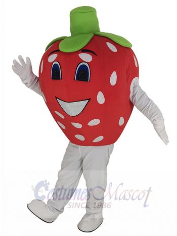 Red Strawberry Mascot Costume Fruit