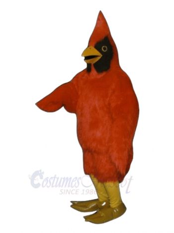 Big Cardinal Mascot Costume Bird