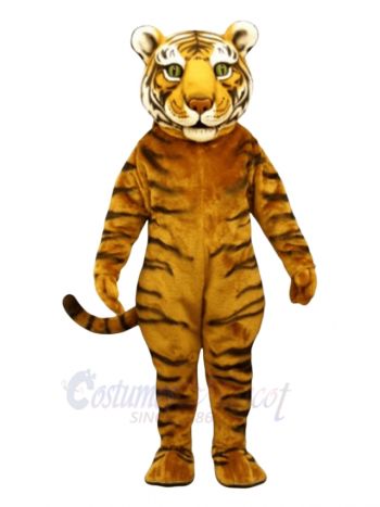 Cute Tiger Mascot Costume