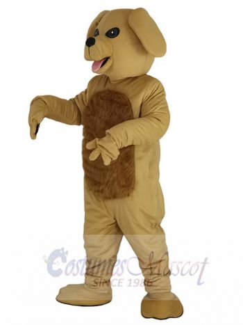 Lovely Golden Dog Mascot Costume Animal