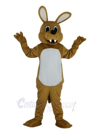 Cute Coyote Wolf Mascot Costume Animal