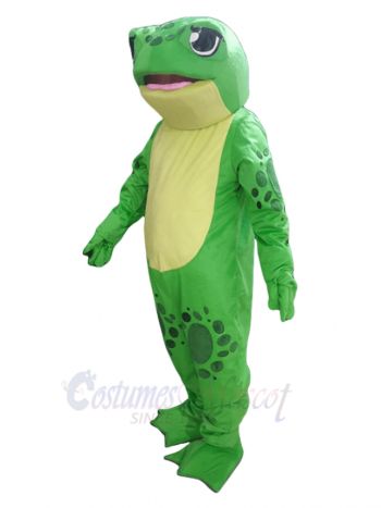 Good Quality Frog Mascot Costume Animal