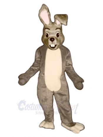 Easter Happy Bunny Rabbit Mascot Costume