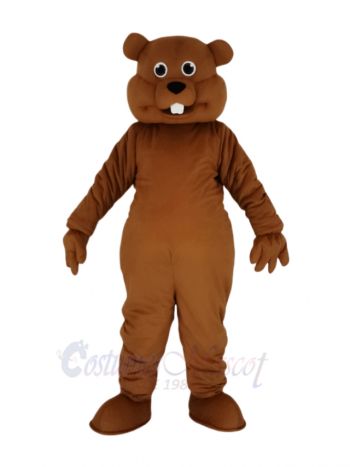 Cute Brown Nutty Squirrel Mascot Costume Animal