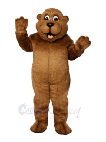 Woody Woodchuck Mascot Costumes