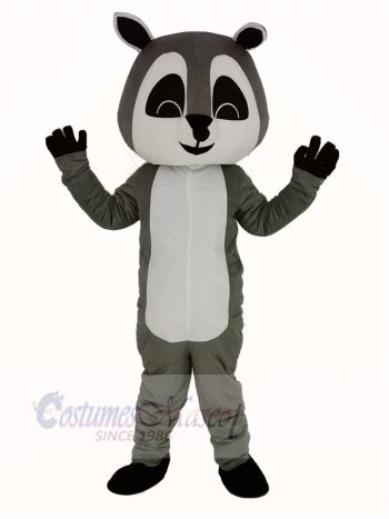 Gray Raccoon Mascot Costume