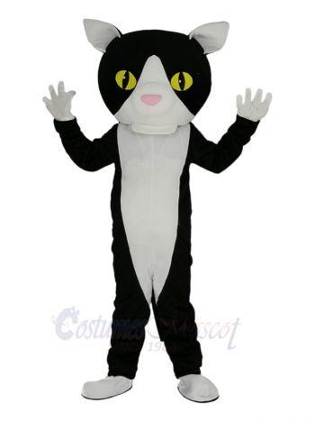 Funny Cat Mascot Costumes Animal