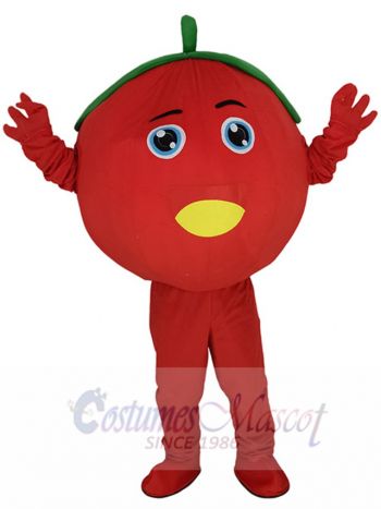 Cute Tomato Fruit Mascot Costume Fruit