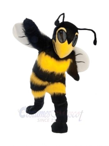 Adult Bee Hornet Mascot Costume