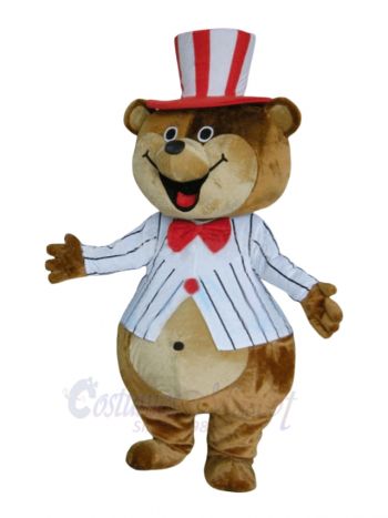 Huge Teddy Mascot Costumes Brown Bear