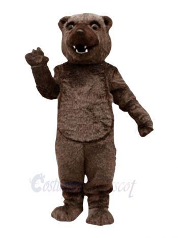 Fierce Brown Bear Mascot Costumes