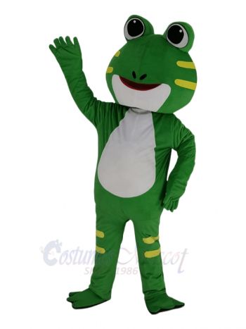 Lovely Frog Mascot Costume Animal