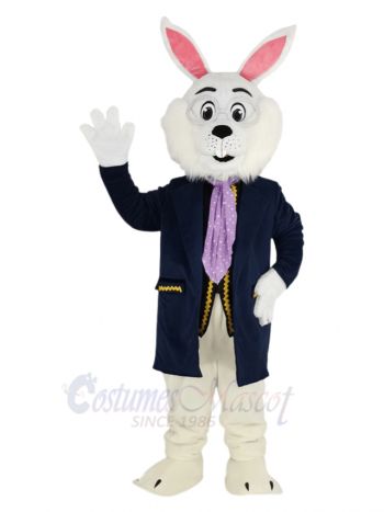 Cute Easter Bunny Rabbit Mascot Costume