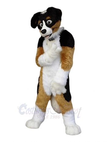 Funny Shepherd Dog Mascot Costumes