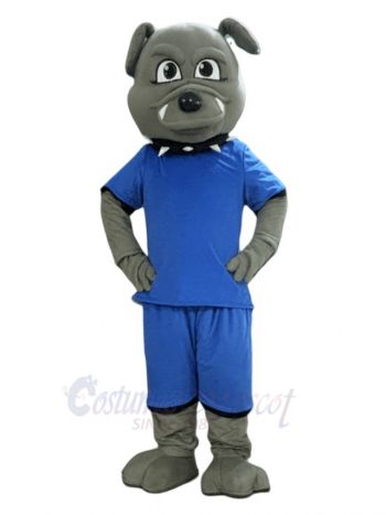 Bulldog in Blue Jersey Mascot Costume