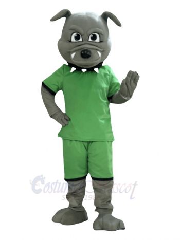 Bulldog in Green Jersey Mascot Costume