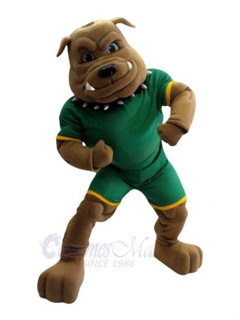 Bulldog Mascot Costume