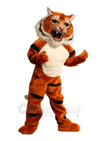 Super Muscle Tiger Mascot Costumes