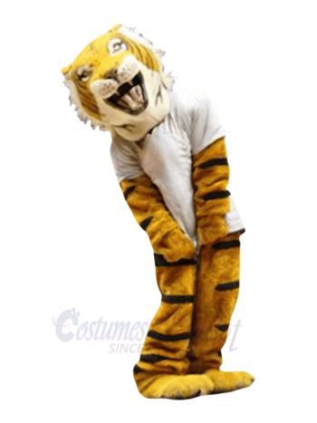 Happy Tiger Mascot Costumes