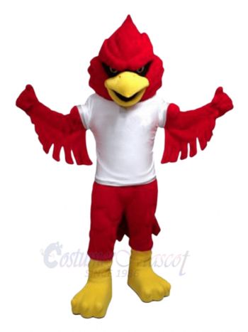 Power Cardinal Mascot Costumes