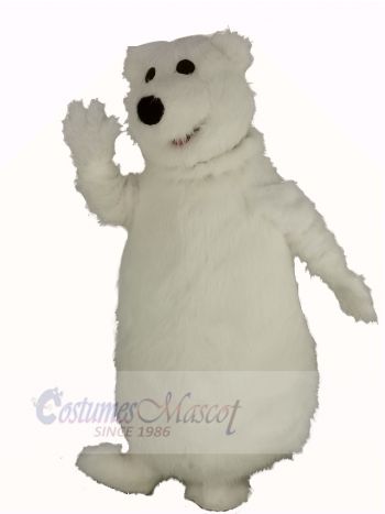 Giant Fat Polar Bear Mascot Costume Animal