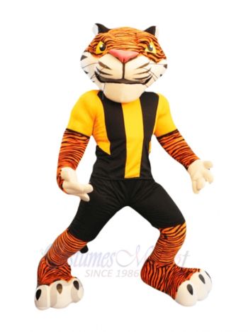 Power Tiger Mascot Costumes