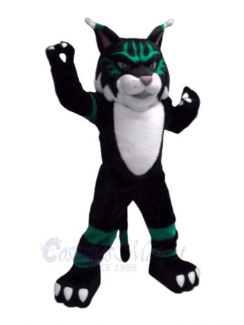 Colorful Wildcat Mascot Costumes