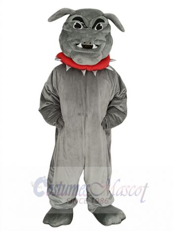 Gray Bulldog with Red Collar Mascot Costume Animal