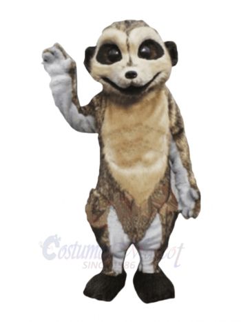 Cute Lightweight Meerkat Mascot Costumes